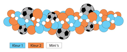 <tc>Voetbal ballonslinger</tc>