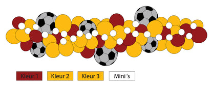 <tc>Voetbal ballonslinger</tc>